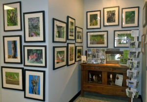 Artisans Corner Gallery Patty Gates