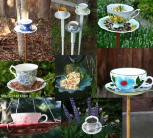 Teacup Bird Feeder Samples