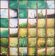 segmented 4